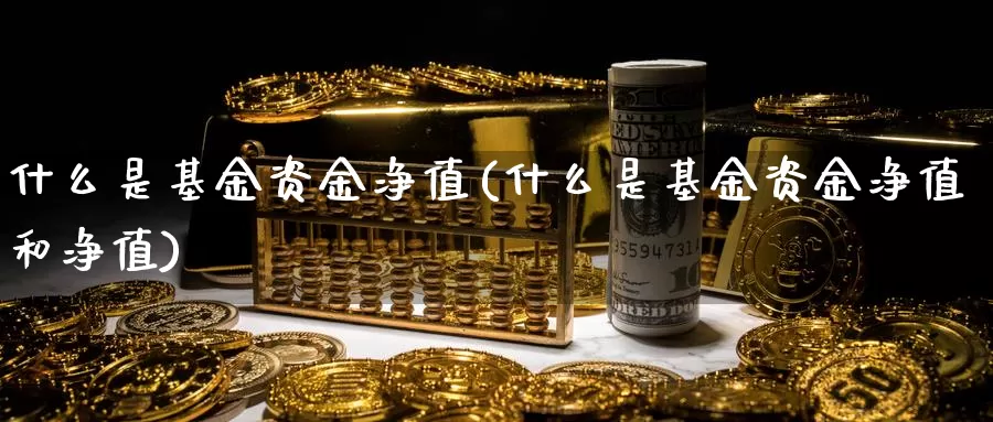 什么是基金资金净值(什么是基金资金净值和净值)_https://www.zzcnk.com_基金_第1张