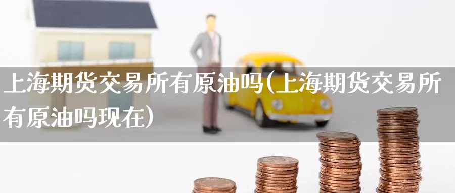 上海期货交易所有原油吗(上海期货交易所有原油吗现在)_https://www.zzcnk.com_期货百科_第1张