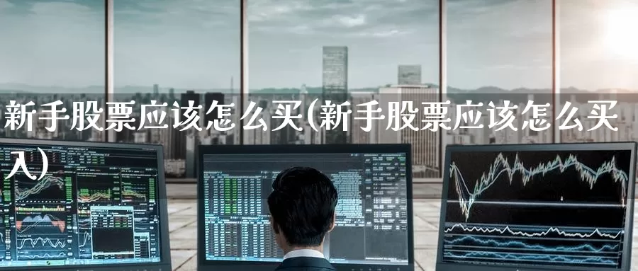 新手股票应该怎么买(新手股票应该怎么买入)_https://www.zzcnk.com_财经_第1张