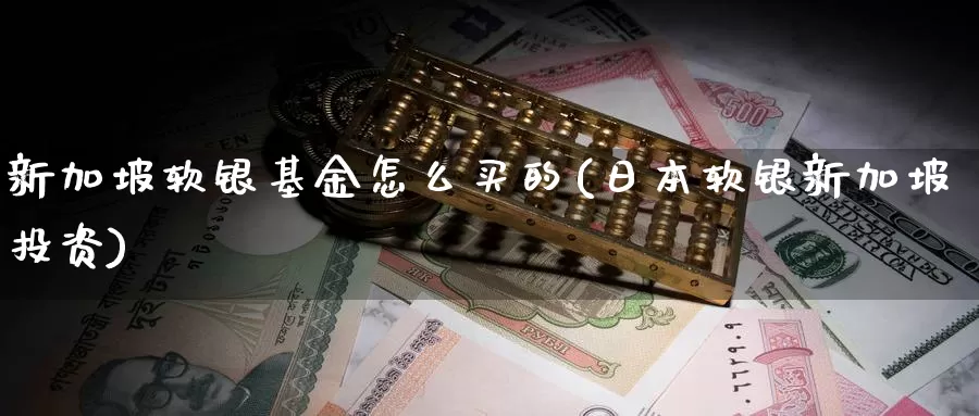 新加坡软银基金怎么买的(日本软银新加坡投资)_https://www.zzcnk.com_基金_第1张