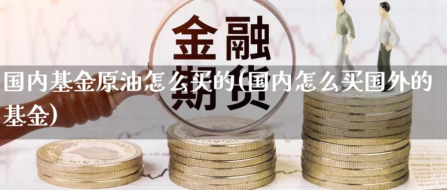 国内基金原油怎么买的(国内怎么买国外的基金)_https://www.zzcnk.com_基金_第1张