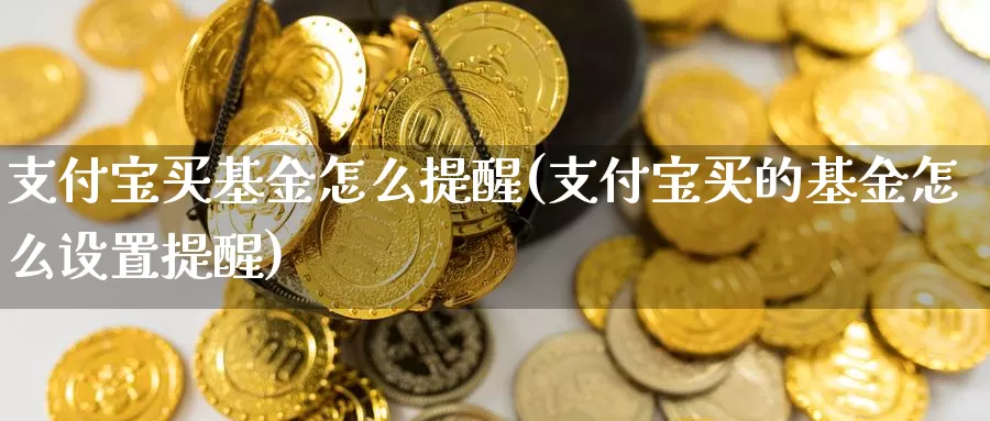 支付宝买基金怎么提醒(支付宝买的基金怎么设置提醒)_https://www.zzcnk.com_基金_第1张