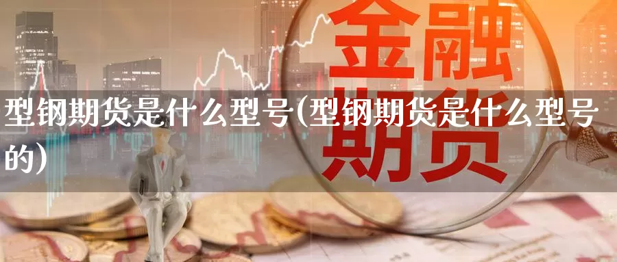 型钢期货是什么型号(型钢期货是什么型号的)_https://www.zzcnk.com_期货_第1张
