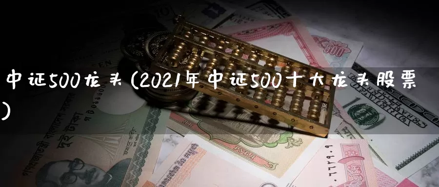 中证500龙头(2021年中证500十大龙头股票)_https://www.zzcnk.com_股指期货_第1张