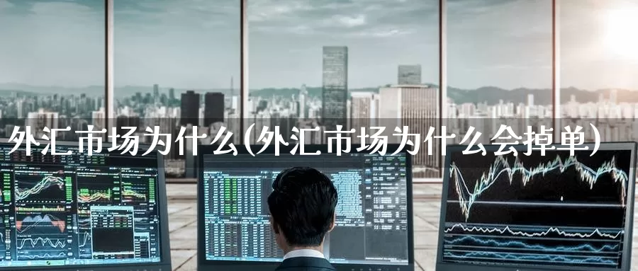 外汇市场为什么(外汇市场为什么会掉单)_https://www.zzcnk.com_财经_第1张