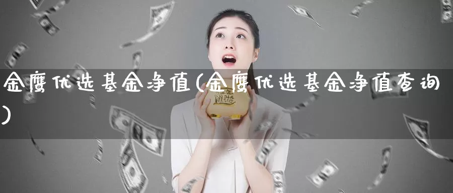 金鹰优选基金净值(金鹰优选基金净值查询)_https://www.zzcnk.com_财经_第1张