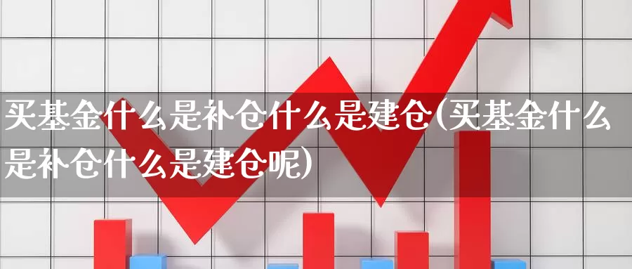 买基金什么是补仓什么是建仓(买基金什么是补仓什么是建仓呢)_https://www.zzcnk.com_基金_第1张