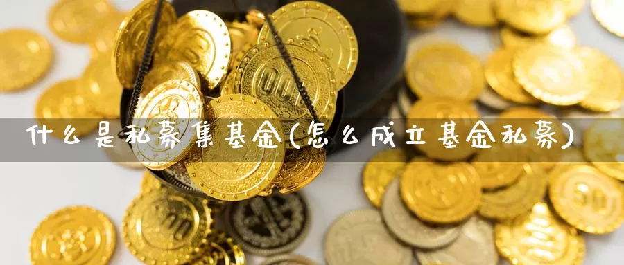 什么是私募集基金(怎么成立基金私募)_https://www.zzcnk.com_基金_第1张