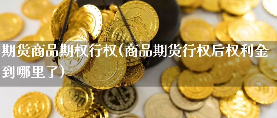 期货商品期权行权(商品期货行权后权利金到哪里了)_https://www.zzcnk.com_纳指期货_第1张