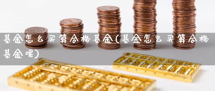 基金怎么买算合格基金(基金怎么买算合格基金呢)_https://www.zzcnk.com_基金_第1张
