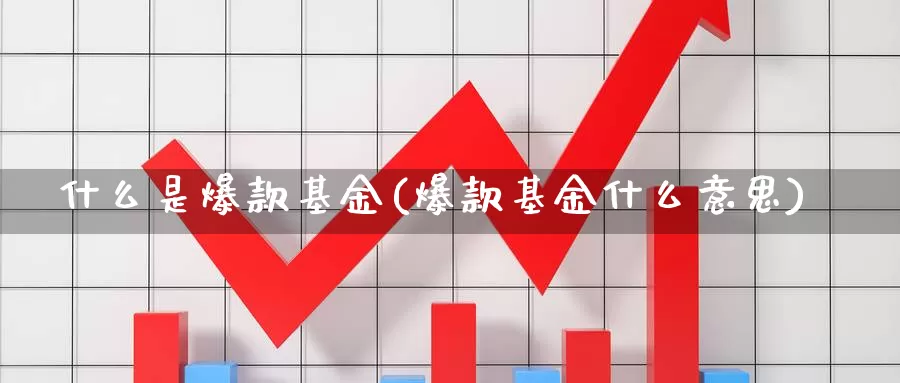 什么是爆款基金(爆款基金什么意思)_https://www.zzcnk.com_基金_第1张