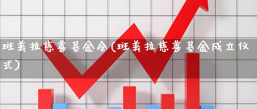 斑美拉慈善基金会(斑美拉慈善基金成立仪式)_https://www.zzcnk.com_基金_第1张