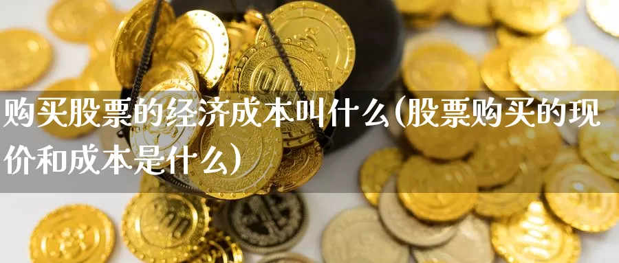 购买股票的经济成本叫什么(股票购买的现价和成本是什么)_https://www.zzcnk.com_股票_第1张