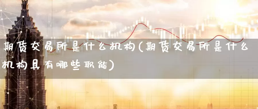 期货交易所是什么机构(期货交易所是什么机构具有哪些职能)_https://www.zzcnk.com_股票_第1张