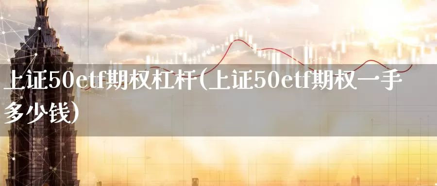 上证50etf期权杠杆(上证50etf期权一手多少钱)_https://www.zzcnk.com_股指期货_第1张