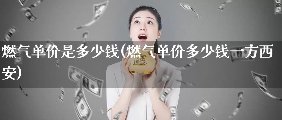 燃气单价是多少钱(燃气单价多少钱一方西安)_https://www.zzcnk.com_内盘期货_第1张