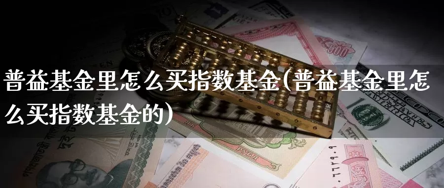 普益基金里怎么买指数基金(普益基金里怎么买指数基金的)_https://www.zzcnk.com_基金_第1张