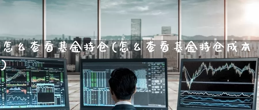怎么查看基金持仓(怎么查看基金持仓成本)_https://www.zzcnk.com_股指期货_第1张