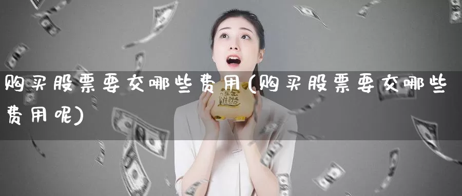 购买股票要交哪些费用(购买股票要交哪些费用呢)_https://www.zzcnk.com_股票_第1张