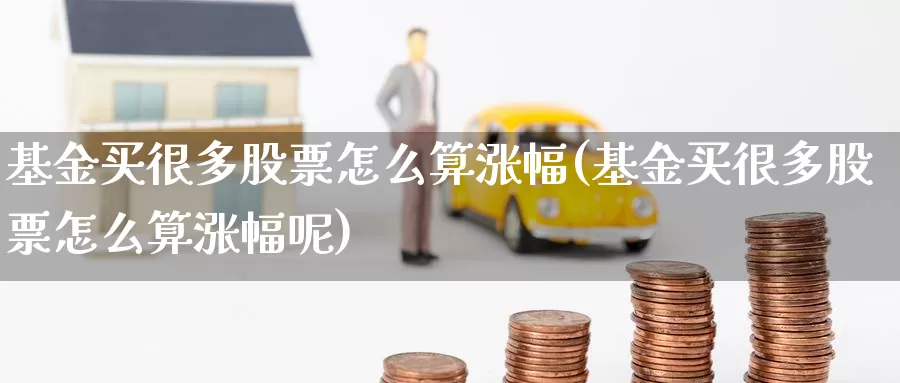 基金买很多股票怎么算涨幅(基金买很多股票怎么算涨幅呢)_https://www.zzcnk.com_基金_第1张