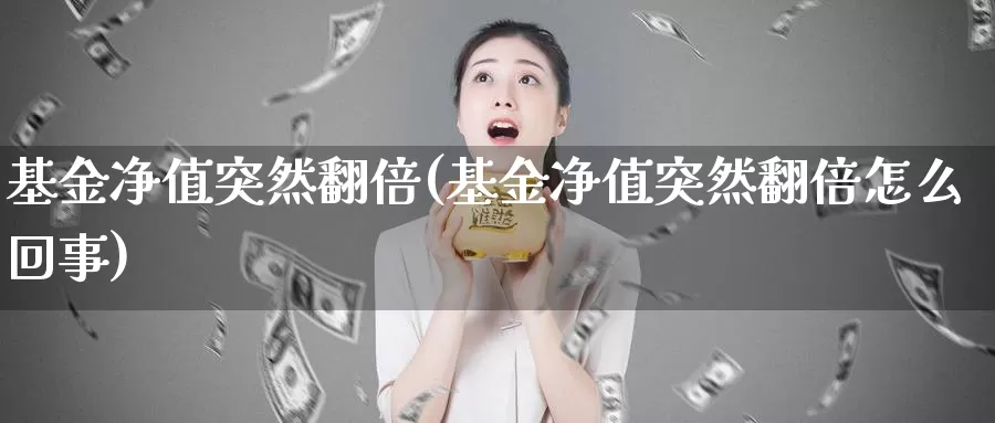基金净值突然翻倍(基金净值突然翻倍怎么回事)_https://www.zzcnk.com_理财_第1张