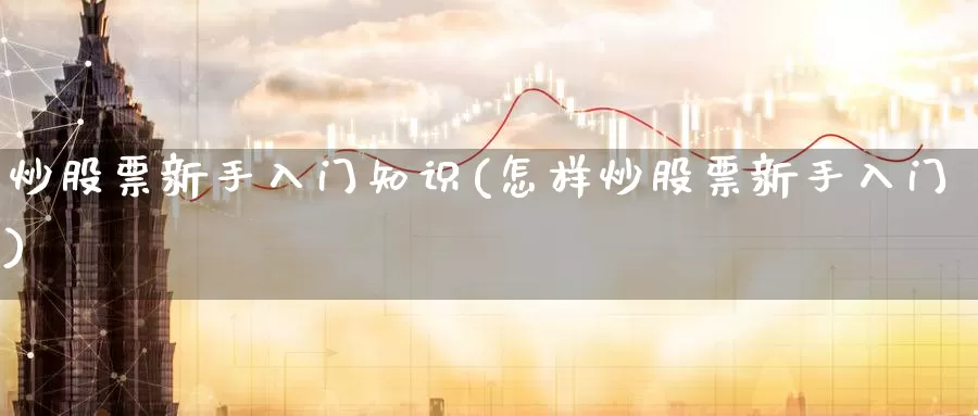 炒股票新手入门知识(怎样炒股票新手入门)_https://www.zzcnk.com_期货直播_第1张
