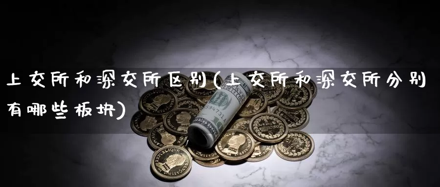 上交所和深交所区别(上交所和深交所分别有哪些板块)_https://www.zzcnk.com_期货百科_第1张