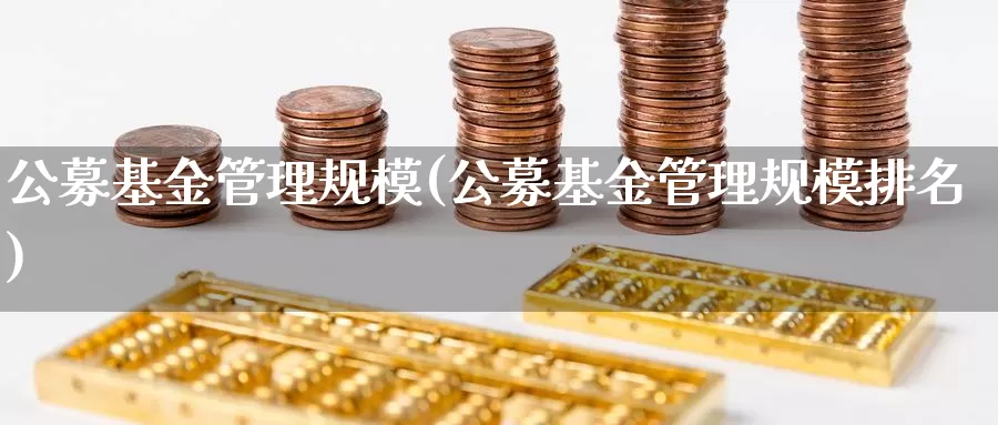 公募基金管理规模(公募基金管理规模排名)_https://www.zzcnk.com_期货_第1张