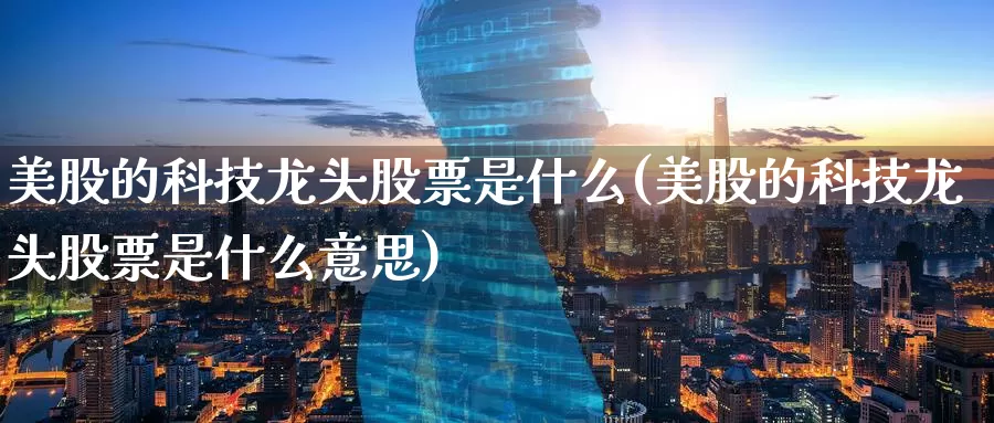 美股的科技龙头股票是什么(美股的科技龙头股票是什么意思)_https://www.zzcnk.com_理财_第1张