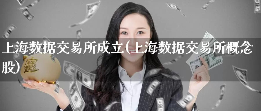 上海数据交易所成立(上海数据交易所概念股)_https://www.zzcnk.com_期货百科_第1张