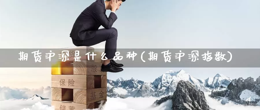 期货沪深是什么品种(期货沪深指数)_https://www.zzcnk.com_期货_第1张