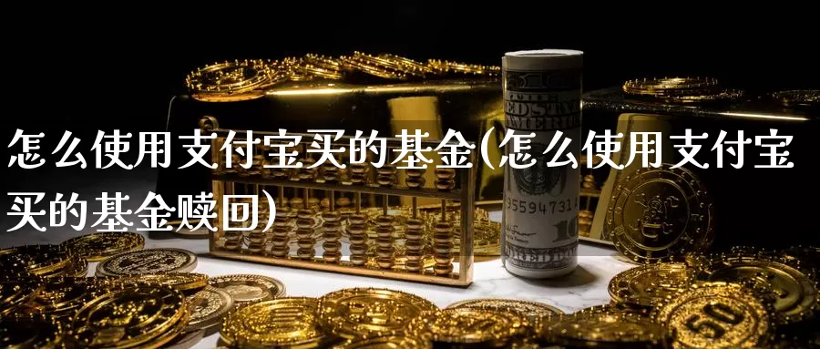 怎么使用支付宝买的基金(怎么使用支付宝买的基金赎回)_https://www.zzcnk.com_基金_第1张