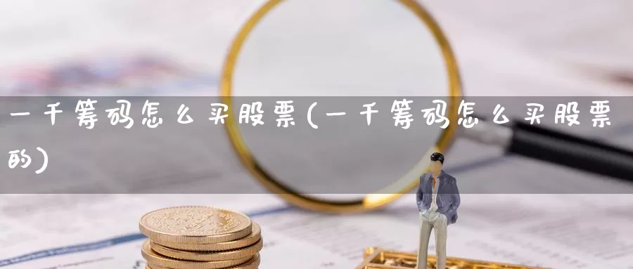 一千筹码怎么买股票(一千筹码怎么买股票的)_https://www.zzcnk.com_财经_第1张