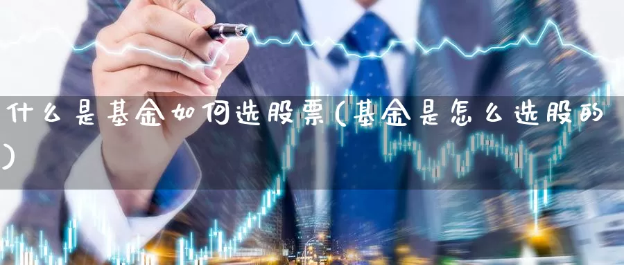 什么是基金如何选股票(基金是怎么选股的)_https://www.zzcnk.com_基金_第1张