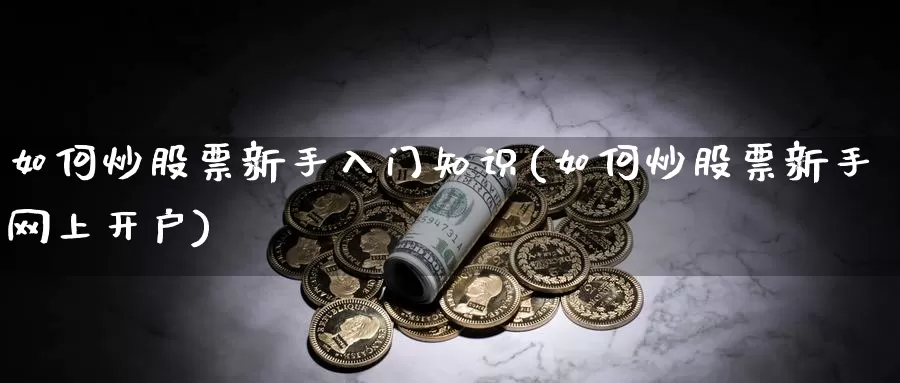 如何炒股票新手入门知识(如何炒股票新手网上开户)_https://www.zzcnk.com_期货百科_第1张
