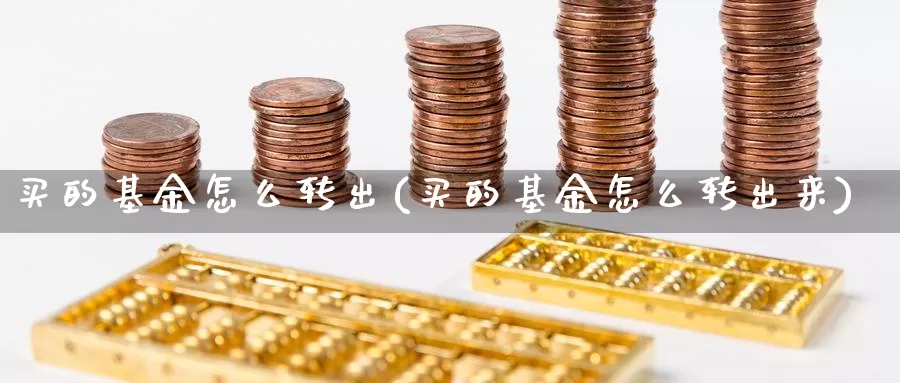 买的基金怎么转出(买的基金怎么转出来)_https://www.zzcnk.com_基金_第1张