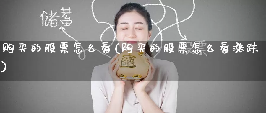 购买的股票怎么看(购买的股票怎么看涨跌)_https://www.zzcnk.com_股票_第1张