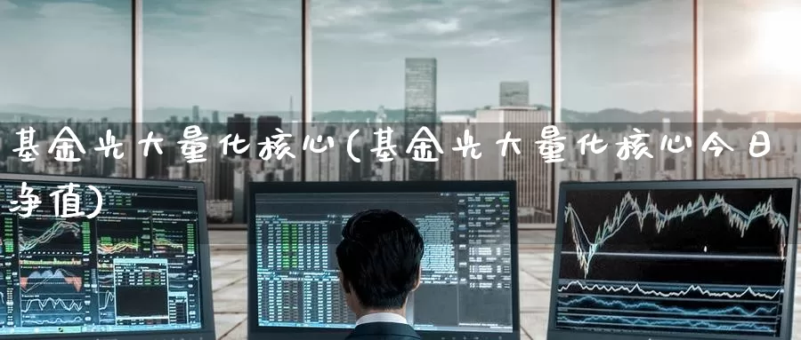 基金光大量化核心(基金光大量化核心今日净值)_https://www.zzcnk.com_理财_第1张