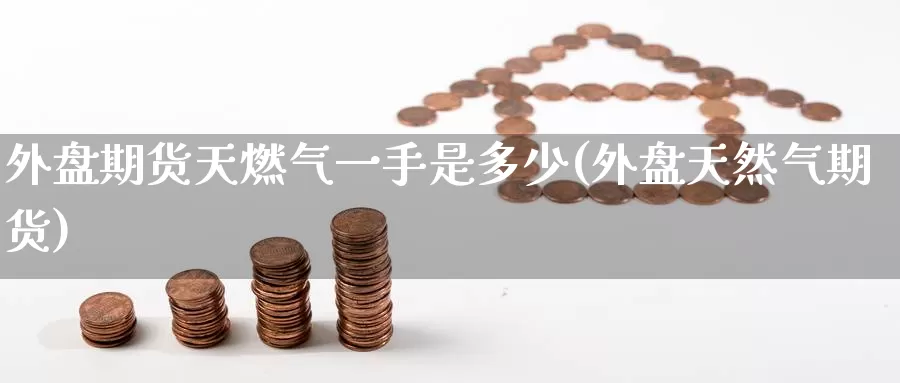 外盘期货天燃气一手是多少(外盘天然气期货)_https://www.zzcnk.com_原油期货_第1张