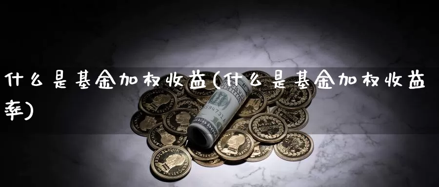 什么是基金加权收益(什么是基金加权收益率)_https://www.zzcnk.com_基金_第1张