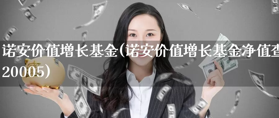 诺安价值增长基金(诺安价值增长基金净值查320005)_https://www.zzcnk.com_财经_第1张