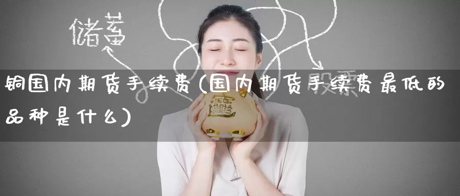 铜国内期货手续费(国内期货手续费最低的品种是什么)_https://www.zzcnk.com_恒生指数_第1张
