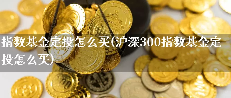 指数基金定投怎么买(沪深300指数基金定投怎么买)_https://www.zzcnk.com_基金_第1张