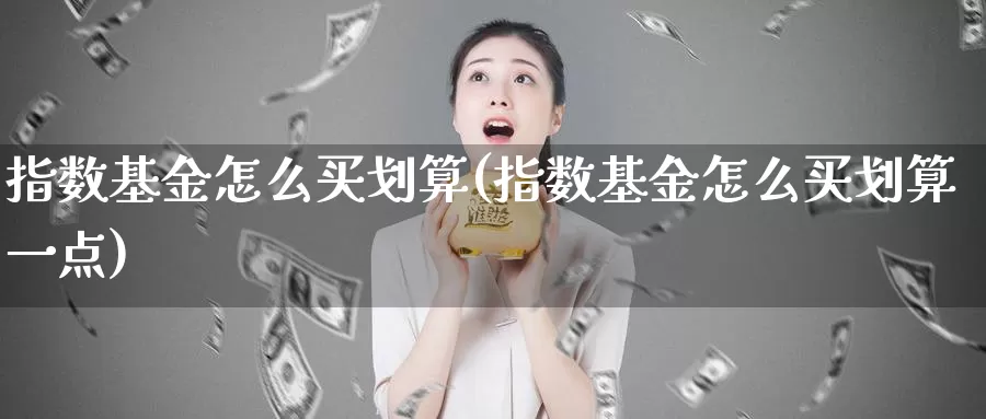 指数基金怎么买划算(指数基金怎么买划算一点)_https://www.zzcnk.com_基金_第1张