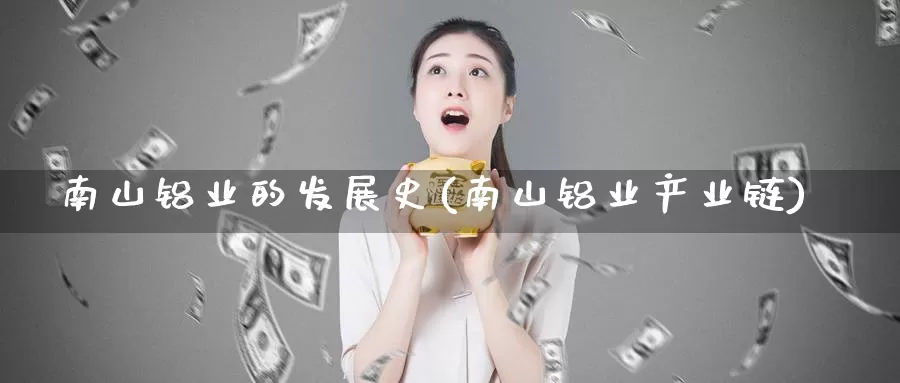 南山铝业的发展史(南山铝业产业链)_https://www.zzcnk.com_股指期货_第1张