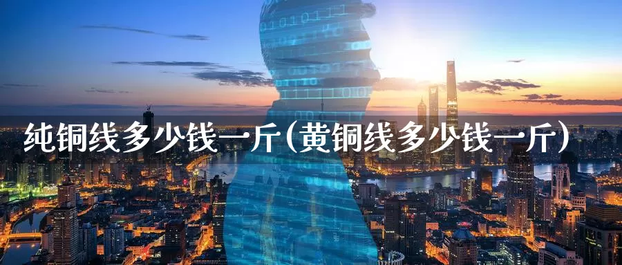 纯铜线多少钱一斤(黄铜线多少钱一斤)_https://www.zzcnk.com_恒生指数_第1张