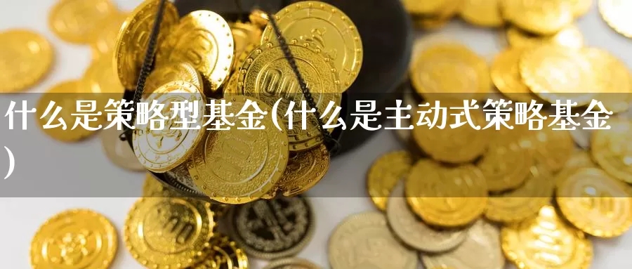 什么是策略型基金(什么是主动式策略基金)_https://www.zzcnk.com_基金_第1张