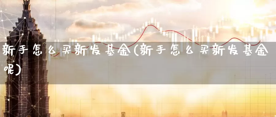 新手怎么买新发基金(新手怎么买新发基金呢)_https://www.zzcnk.com_基金_第1张