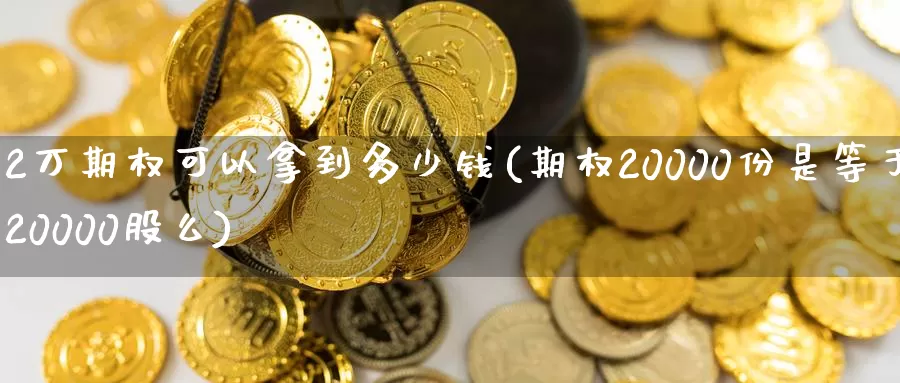 2万期权可以拿到多少钱(期权20000份是等于20000股么)_https://www.zzcnk.com_原油期货_第1张