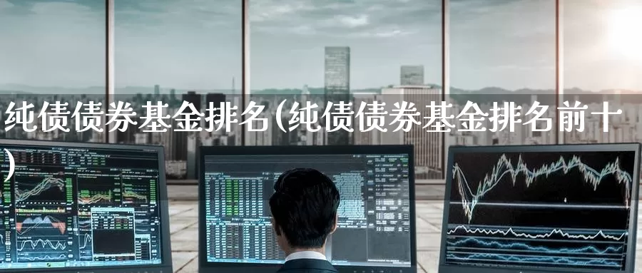 纯债债券基金排名(纯债债券基金排名前十)_https://www.zzcnk.com_基金_第1张